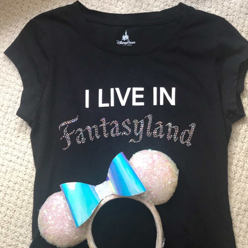 Disney ears and dress